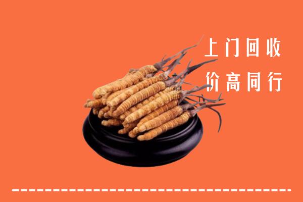 高价求购：常德市临澧县回收散虫草