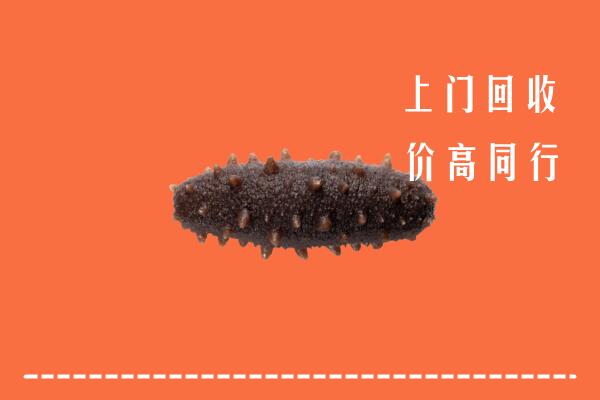 高价求购：常德市临澧县回收海参
