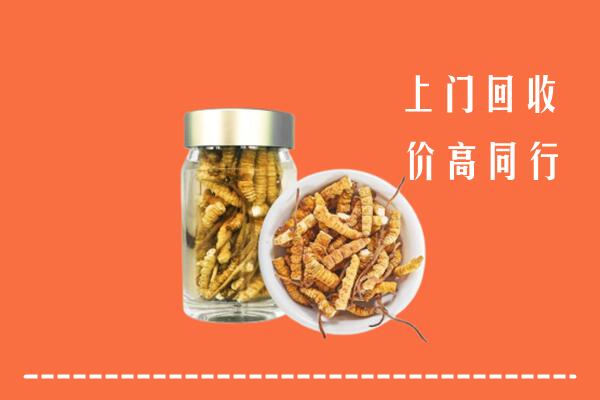 常德市临澧县回收冬虫夏草